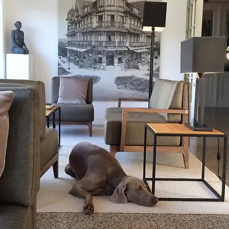 Grand Belle Vue De Haan