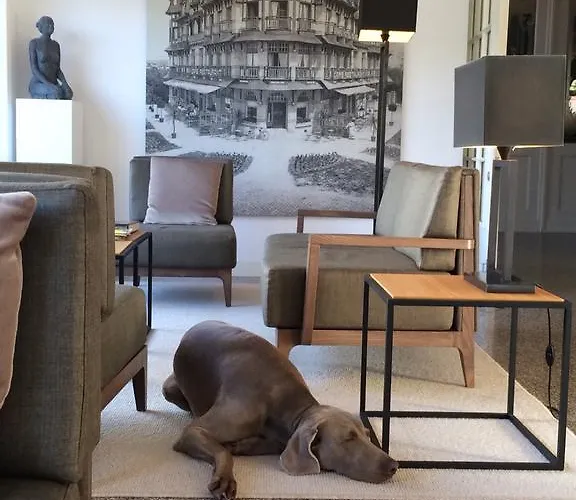 Grand Belle Vue De Haan